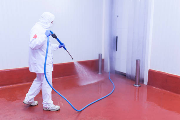Hampton, MD Pressure Washing Services Company